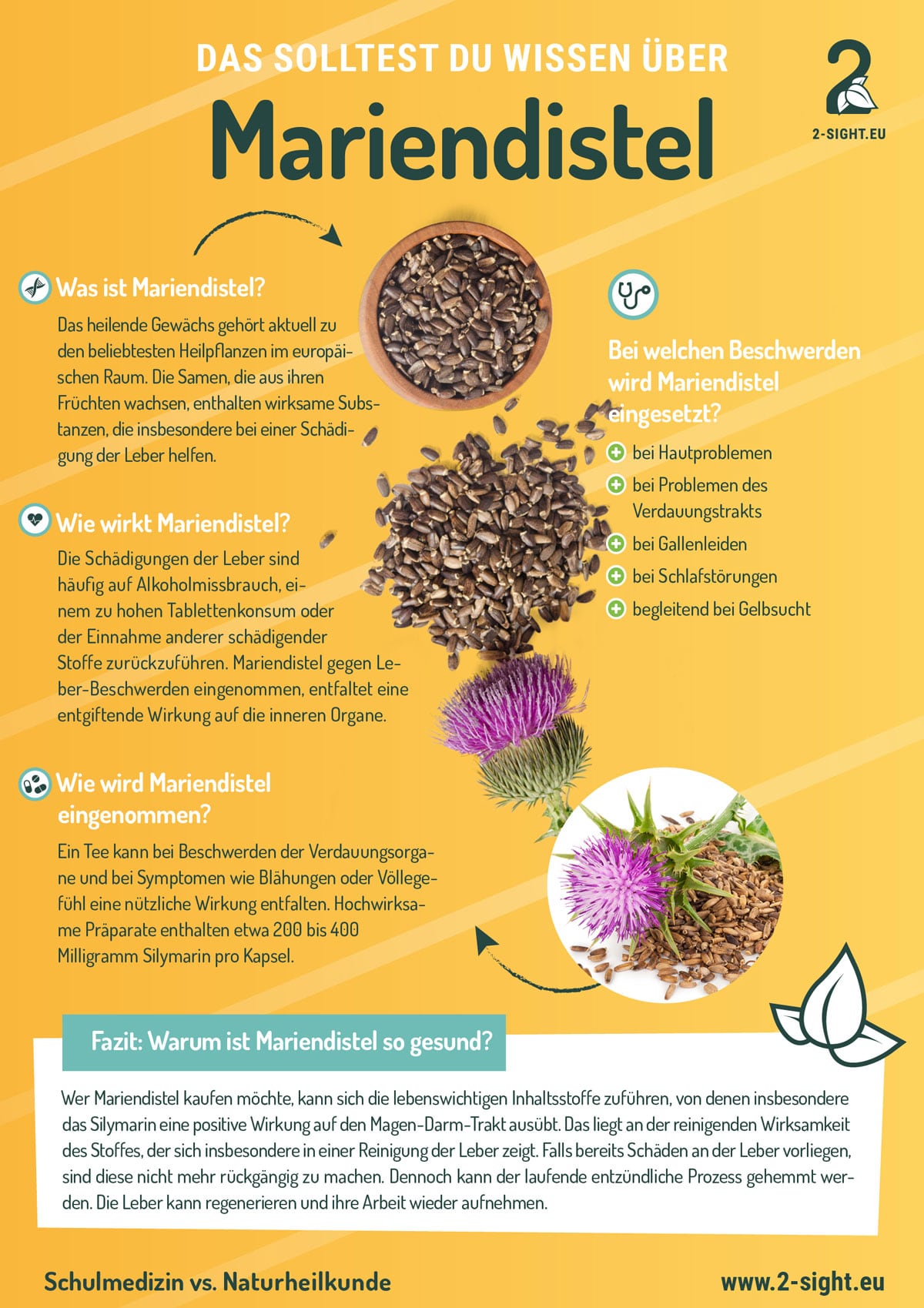 2sight-infografik_42_Mariendistel Mariendistel Infografik