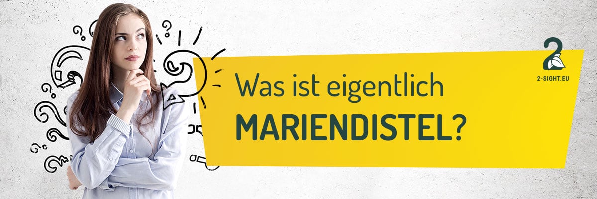 2sight_Mariendistel_01_Was Was ist eigentlich Mariendistel