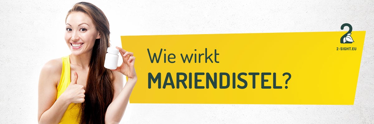2sight_Mariendistel_02_Wie Wie wirkt die Mariendistel?