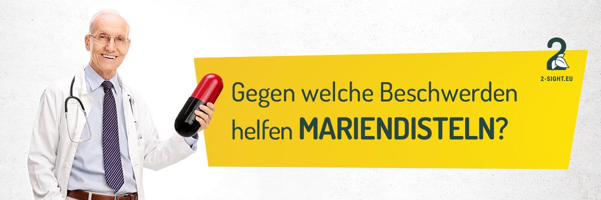 2sight_Mariendistel_04_Hilft Gegen welche Beschwerden helfen Mariendisteln
