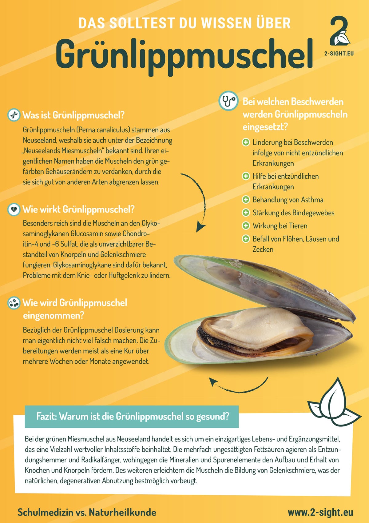 2sight-infografik_48_Grünlippmuschel Infografik Grünlippmuschel